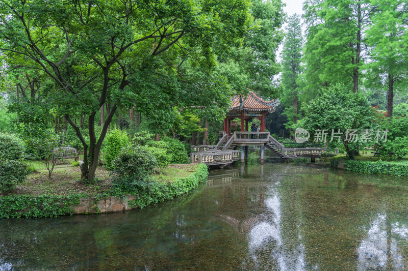 武汉中国科学院武汉植物园风光