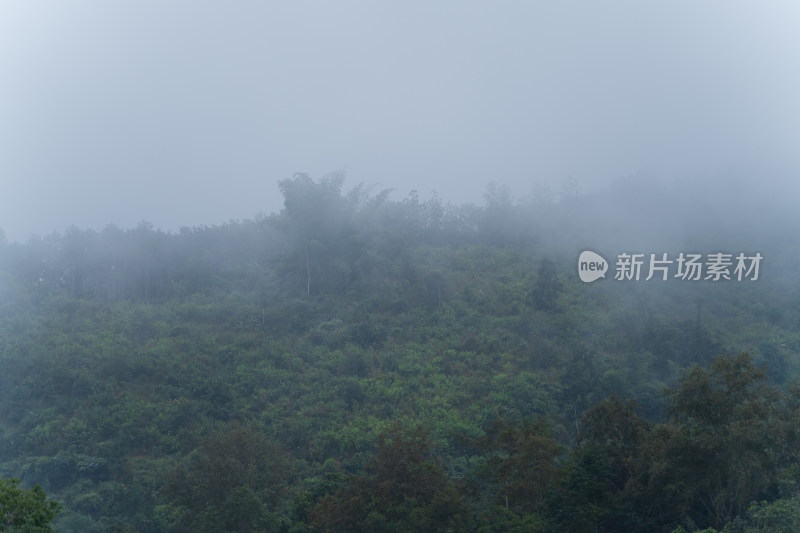 云雾缭绕的山间秘境