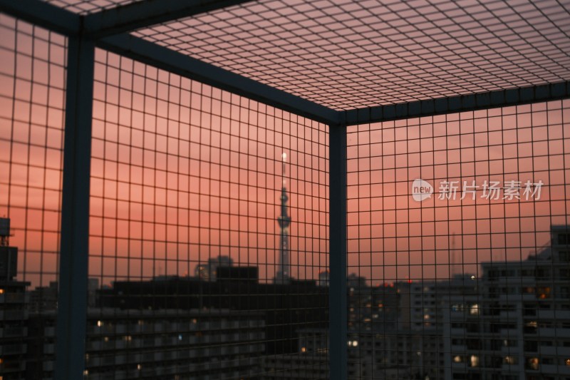 东京夕阳下的晴空塔01