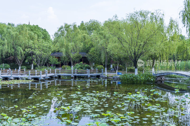 武汉硚口区园博园风景