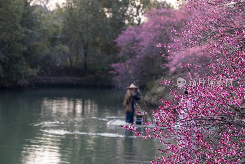 江南古风女子泛舟赏梅