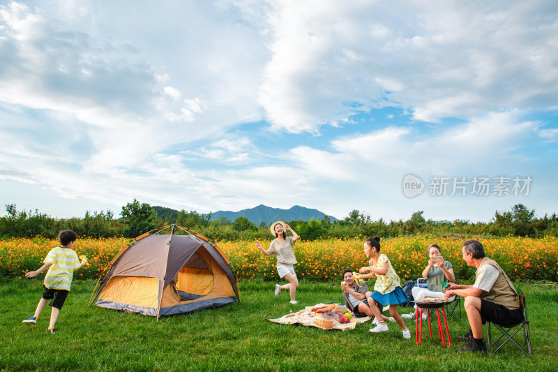 欢乐家庭在郊外野餐