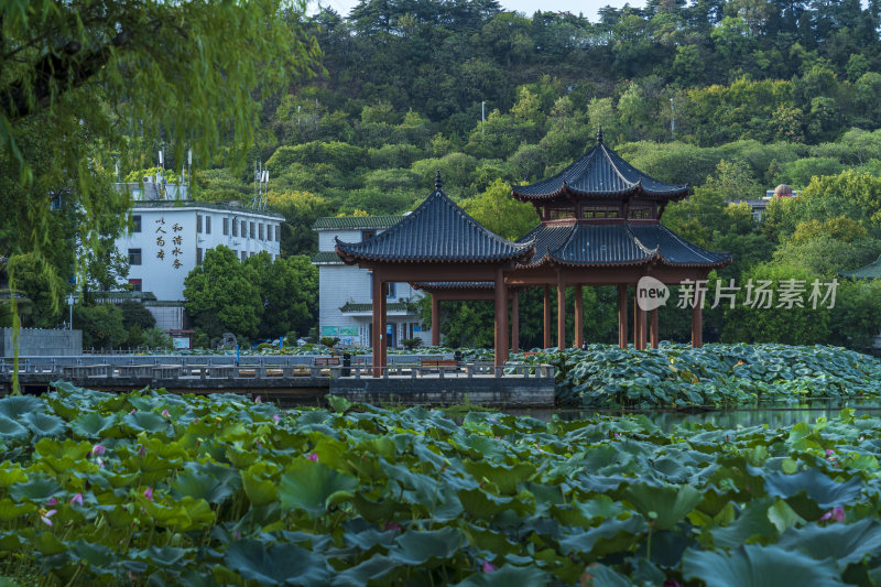 武汉汉阳莲花湖公园园林风光