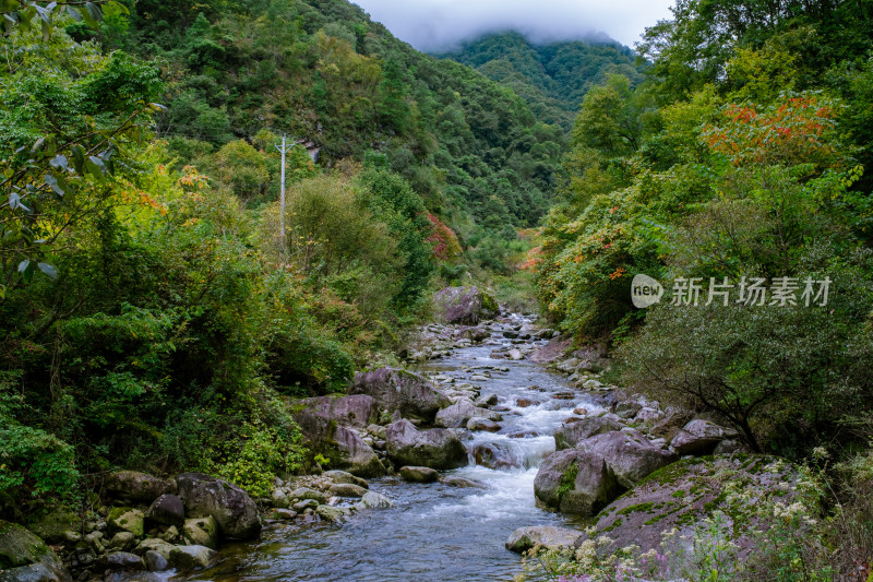 汉中留坝火烧店镇秦岭深处的山中小溪