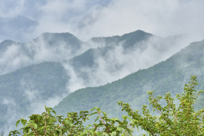 重庆金佛山美景