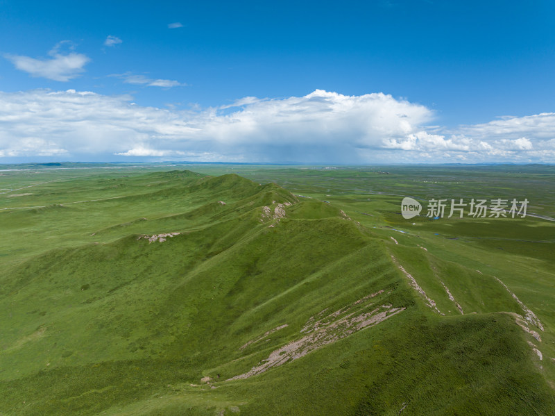 黄河草原湿地