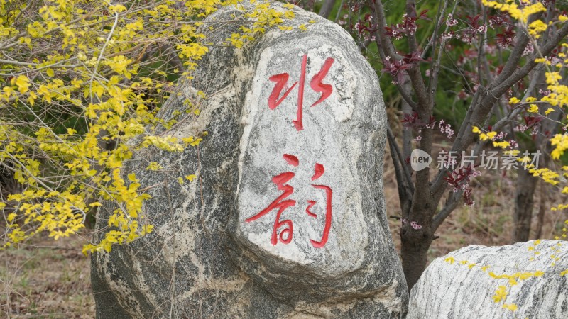 刻有“水韵”字样的景观石