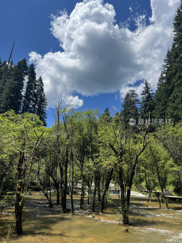 松潘县牟尼沟景区自然山水风光