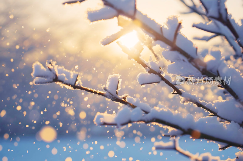 冬天风景大雪背景