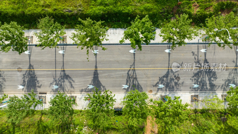 笔直的城市道路和行道树