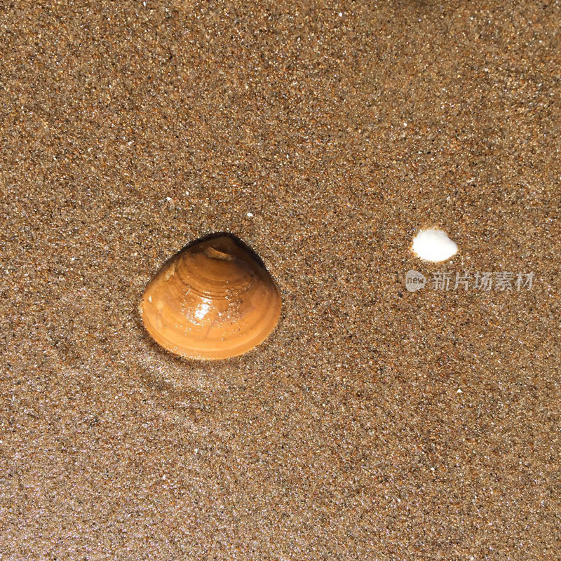 海滩沙滩海岸线