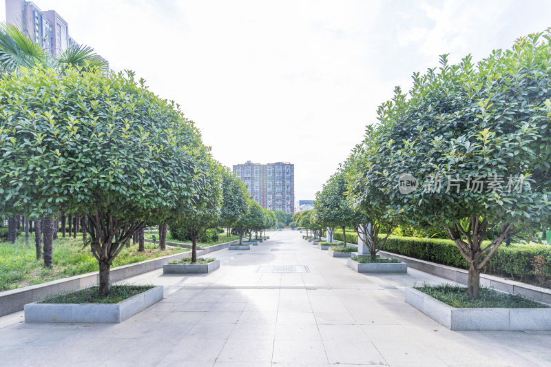 武汉江夏新世纪公园风景