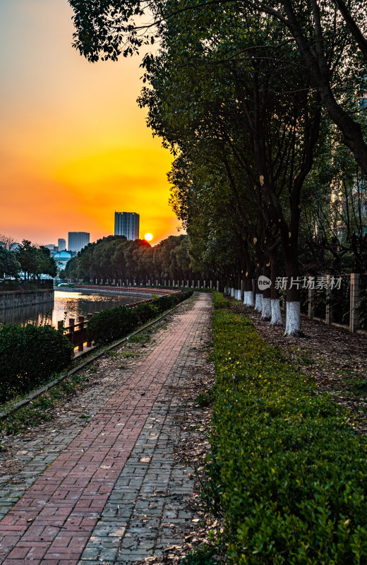 上海嘉定安亭老街菩提禅寺景点景观