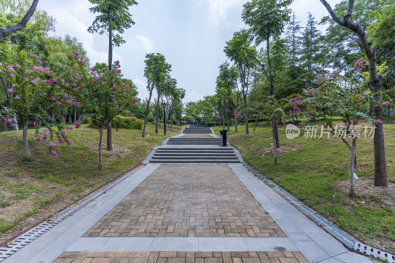 武汉青山区戴家湖公园风景