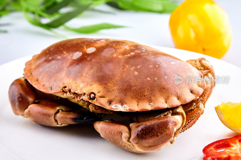 海鲜 螃蟹 面包蟹