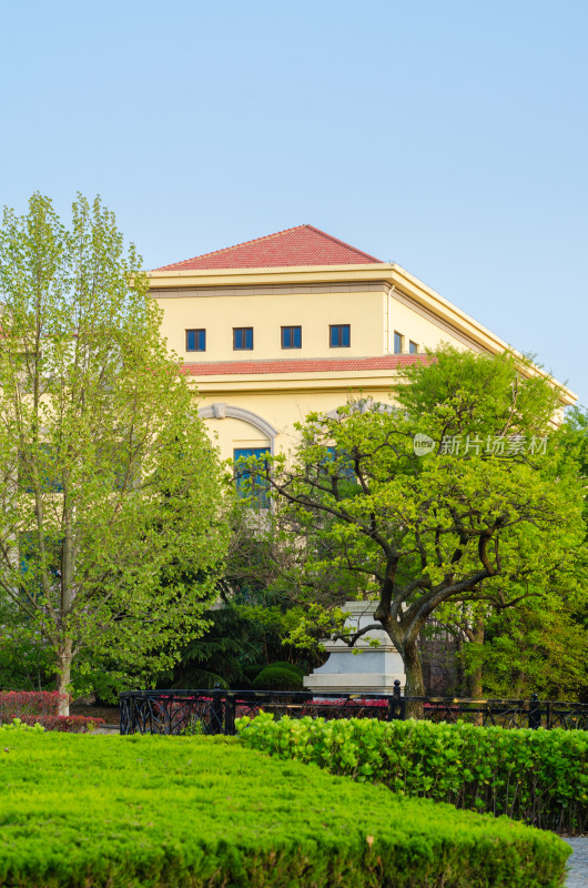 青岛中山公园的夏季