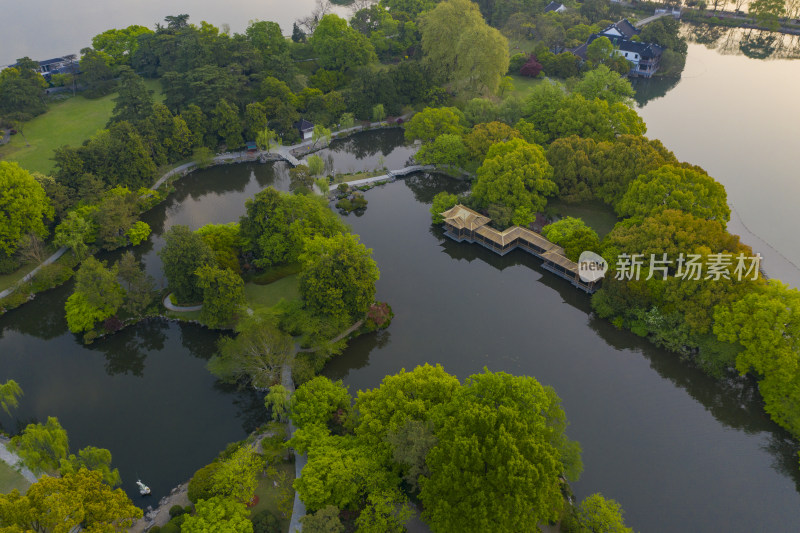 杭州西湖十景之一花港观鱼春天航拍