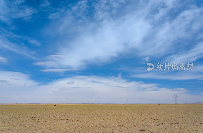 内蒙古巴彦淖尔温根塔拉旅游景区草原牧场