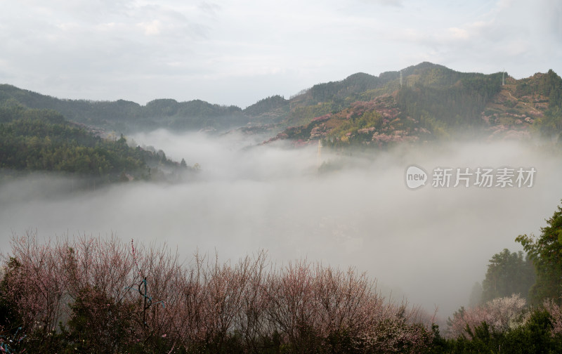 山间云雾缭绕自然风光