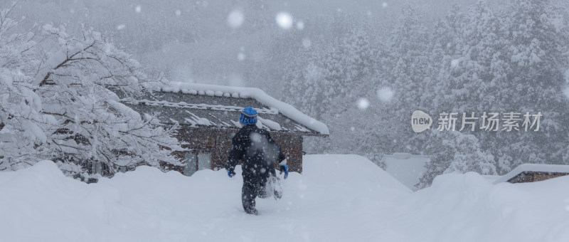 雪中奔跑