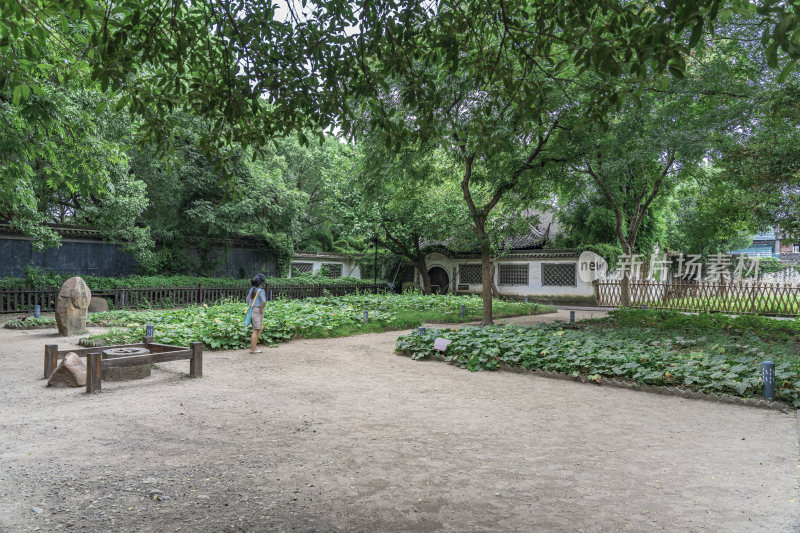 鲁迅故里百草园景点