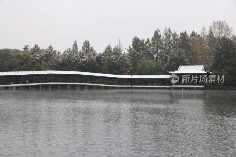 江南的第一场雪，摄于西湖浴鹄湾