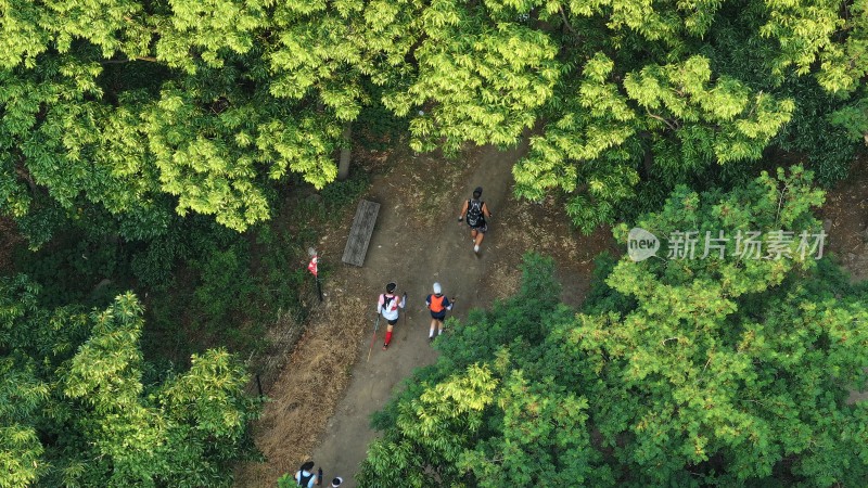 俯瞰威海100超级越野赛运动员穿行山野丛林