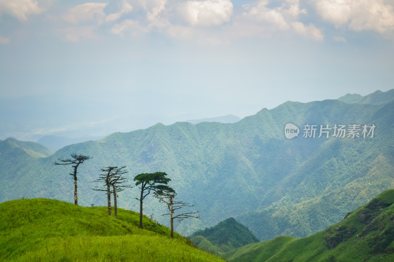 江西武功山高山草甸