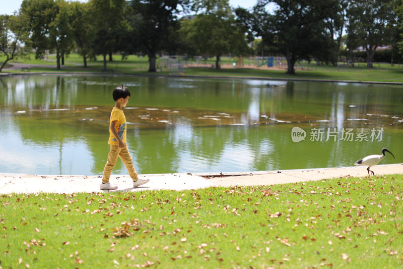 可爱的男孩站在澳大利亚阿德莱德公园