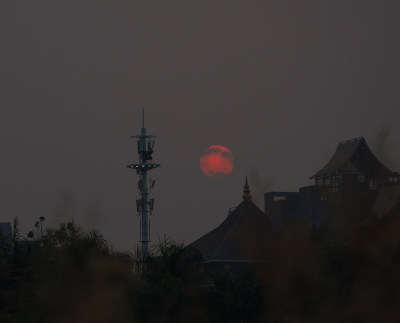 夕阳下树木的轮廓和剪影