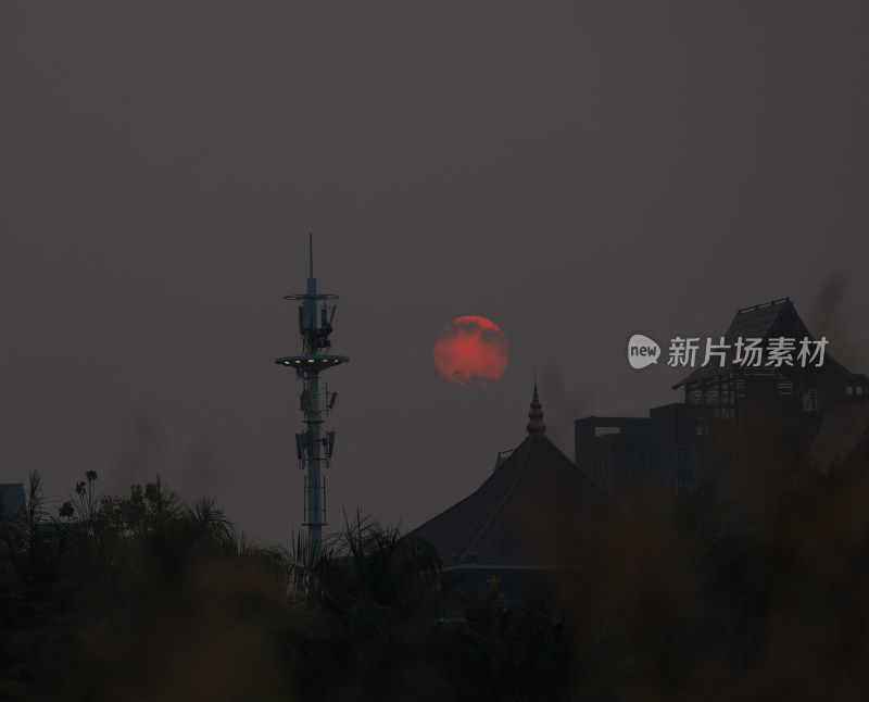 夕阳下树木的轮廓和剪影