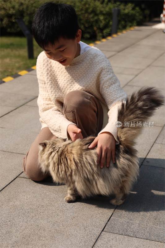 一个小男孩与宠物猫互动的温馨场景