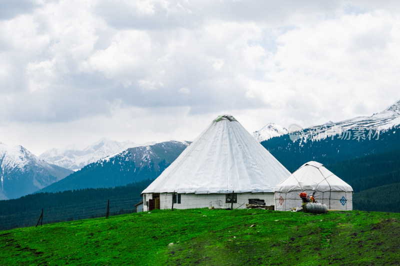 新疆伊犁雪山下草原上的毡房