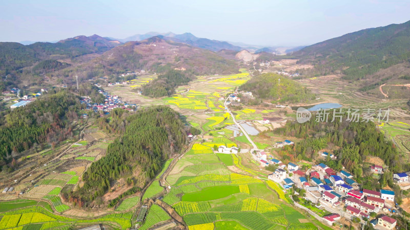 南方美丽乡村田园油菜花种植航拍