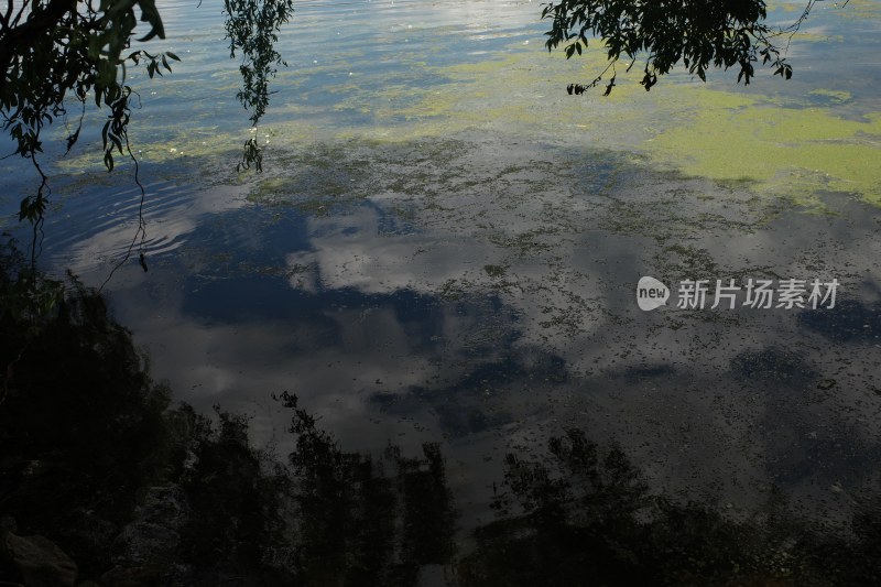 水面倒影呈现天空云彩与周边树木