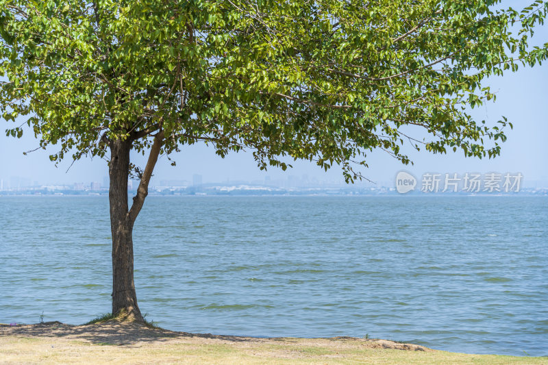 武汉江夏区悦湖公园风景