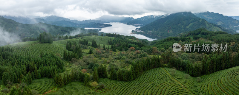 四川洪雅县复兴村山水间的绿色茶园全景