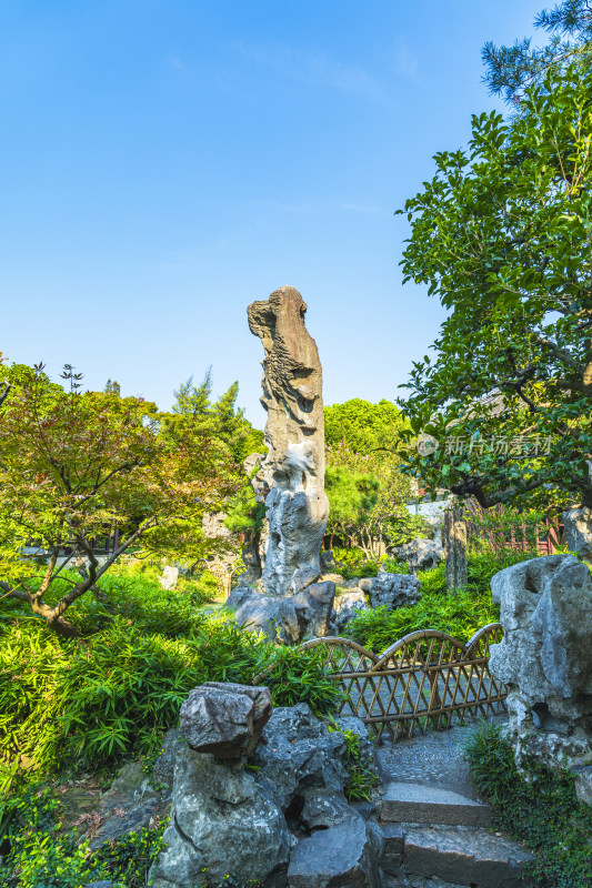 初秋时节，苏州园林留园，清晨无人的冠云峰