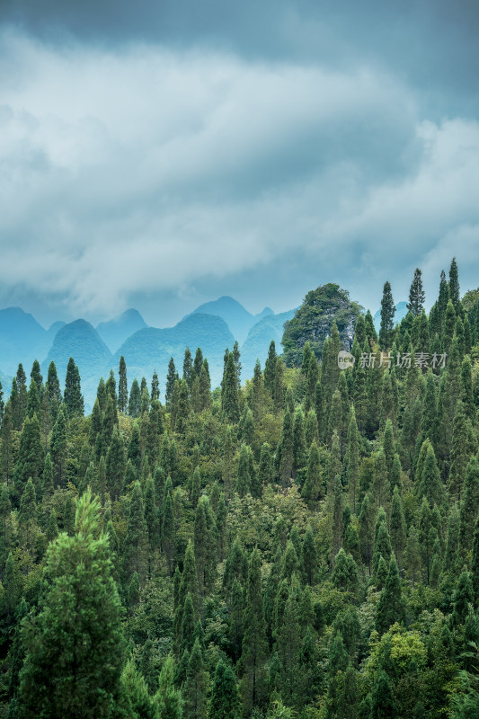 万峰林山地