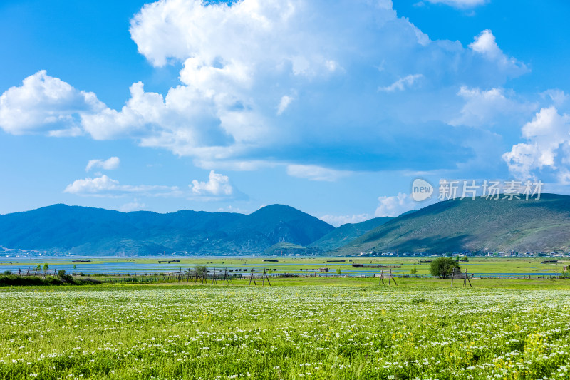 香格里拉纳帕海景区