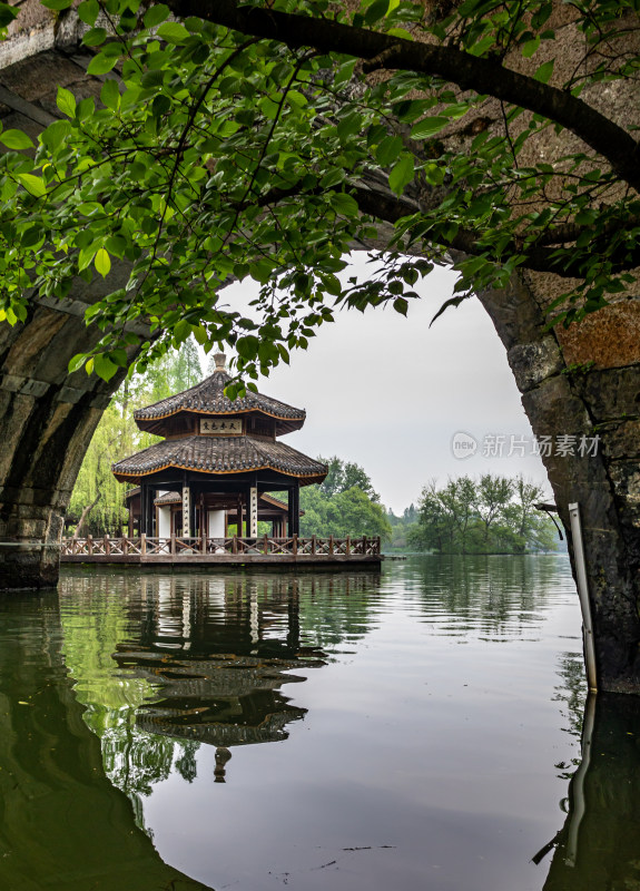 杭州西湖茅家埠黛色参天自然风景景观