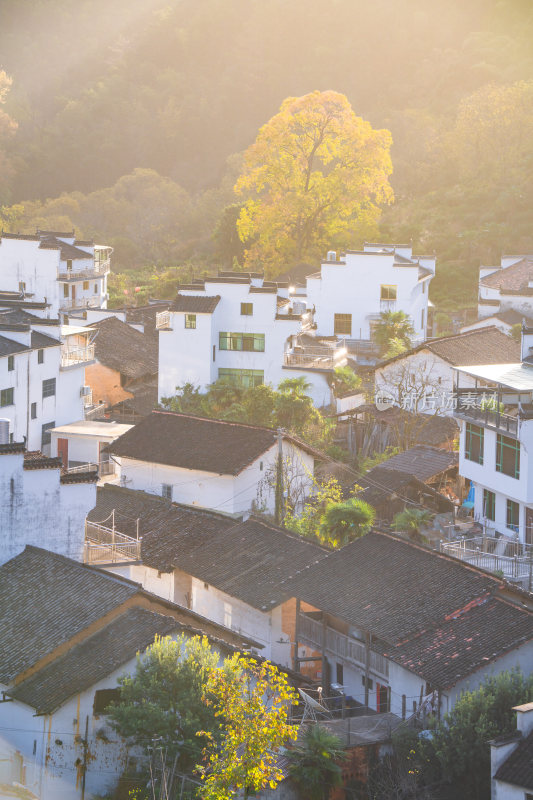 航拍江西婺源石城徽派建筑秋色枫叶村庄日出