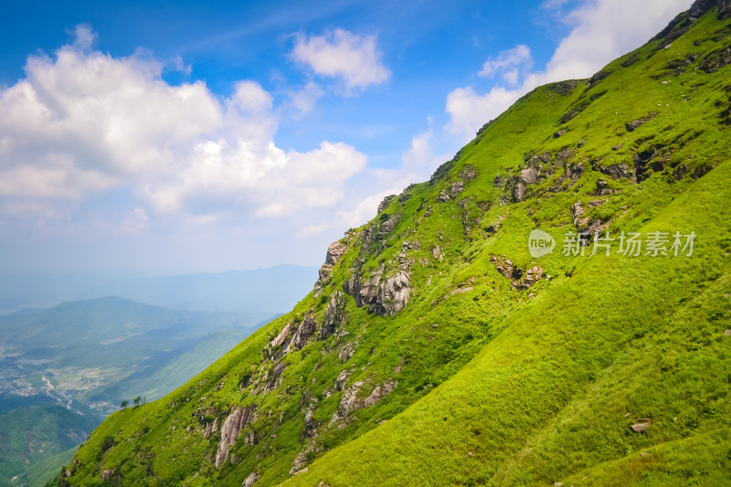 江西武功山高山草甸