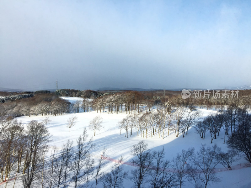 清晨雪场