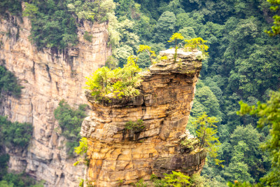 中国湖南张家界景区奇特山峰与茂密森林