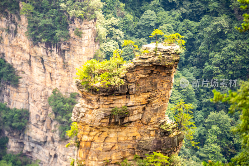 中国湖南张家界景区奇特山峰与茂密森林