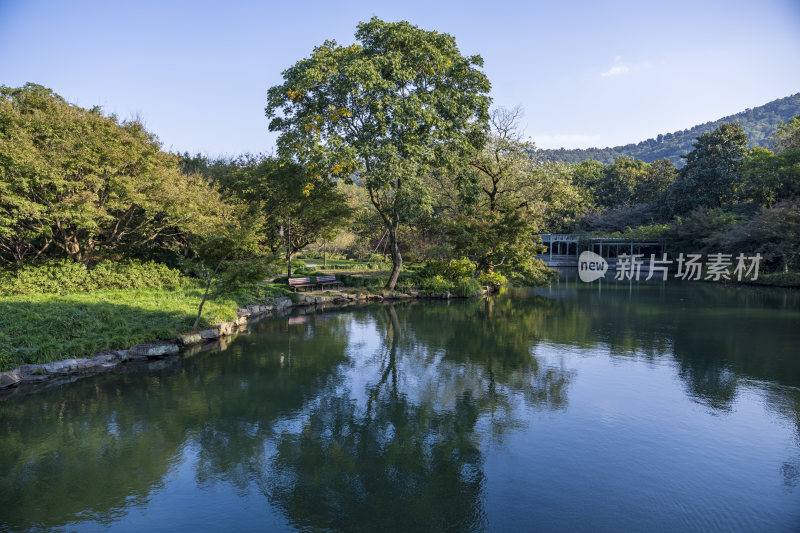 杭州西湖花港观鱼风景