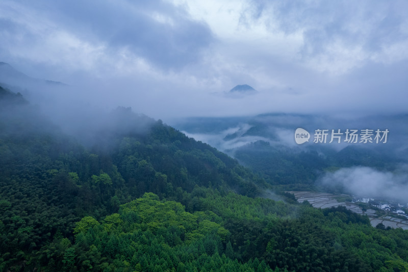 山间云雾缭绕的森林景观