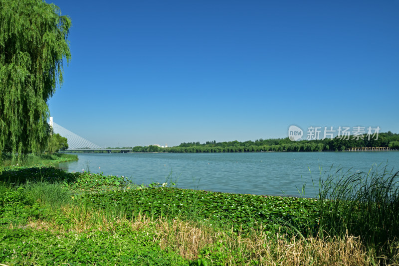 河北省石家庄市太平河