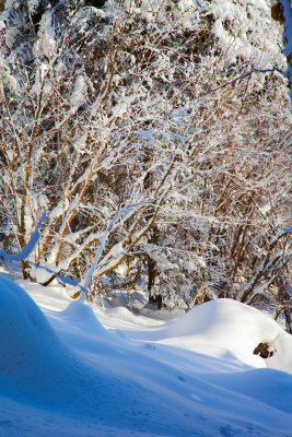 黑龙江 双峰林场 雪乡